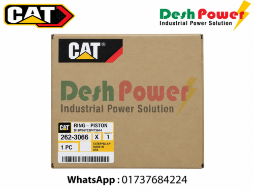 262-3066 [RING PISTON]