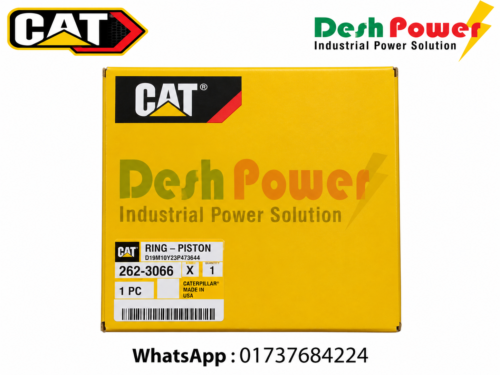 262-3066 [RING PISTON]