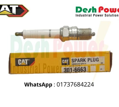 301-6663 [SPARK PLUG]