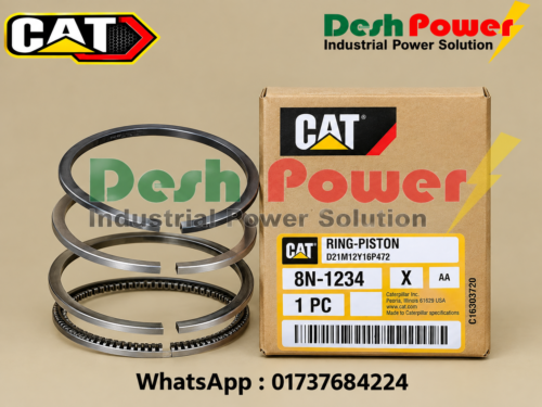 8N-1234 [RING PISTON]