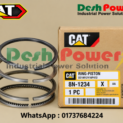 8N-1234 [RING PISTON]