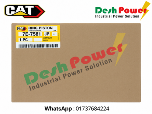 7E-7581 [RING PISTON]
