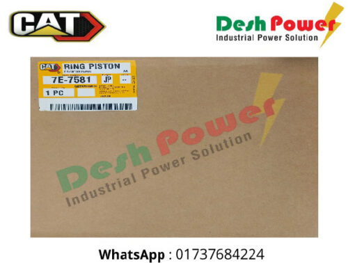 7E-7581 [RING PISTON]
