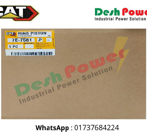 7E-7581 [RING PISTON]