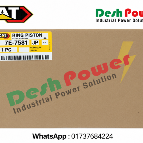 7E-7581 [RING PISTON]